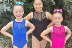 Screen-Shot-2021-06-30-at-2.33.01-pm